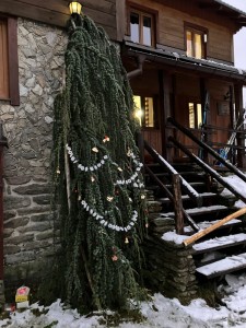 WhatsApp Image 2023-12-16 at 16.41.33.jpeg